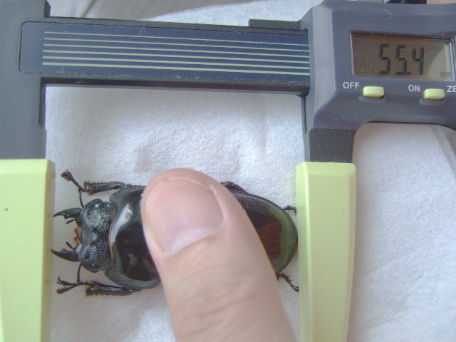 �M��F5��55.4�~��
